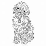 Pages Coloring Mandala Dog Colouring Goldendoodle Printable Puppies Keiti Hunde Gemt Template Colouringpages Fra Eu sketch template