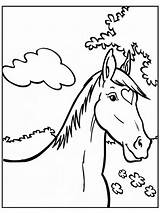 Paard Kleurplaten Paardenhoofd Amika Dieren Paarden Printen Leukekleurplaten Unicorn Uitprinten Horses Alfabet Downloaden één sketch template