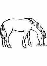 Paard Cheval Coloriage Hugolescargot Kleuren Animaux Enregistrée sketch template