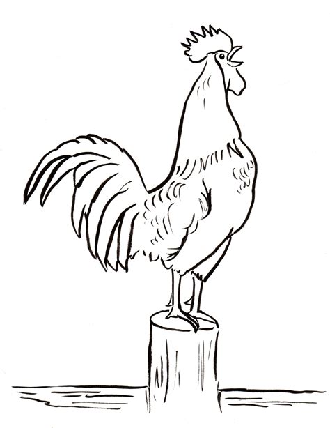 rooster coloring page art starts