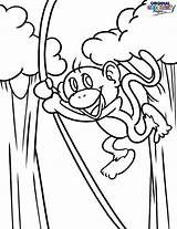 Monkey Swinging Coloring Pages Getdrawings Getcolorings sketch template