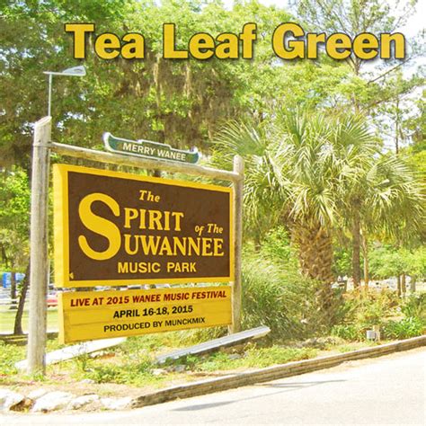 Tea Leaf Green Live At Wanee 2015 2cds Leeway S Home