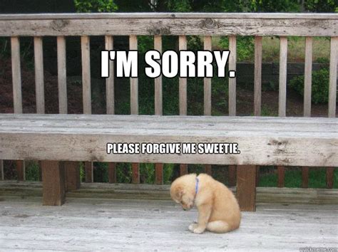 i m sorry please forgive me sweetie sorry quickmeme