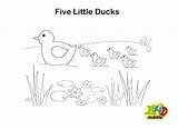 Ducks Five Swimming sketch template