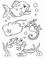 Coloring Pages Life Marine sketch template