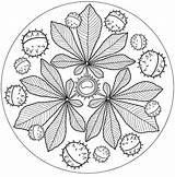 Mandala Coloriage Automne Autumn Mandalas Fall Pages Google Maternelle Printable Enregistrée Depuis Plus Avec Enfant Sur sketch template