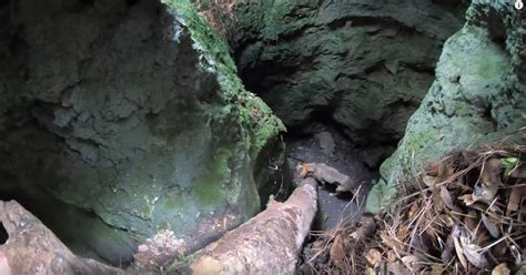 hiker discovers missing dog   trapped  bottom  cave   weeks   woods