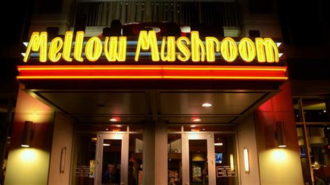 mellow mushroom  open   fla eatery orlando business journal