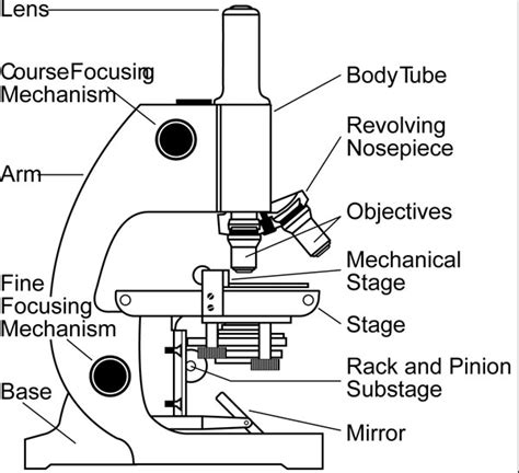 microscope types parts history facts sciencefun