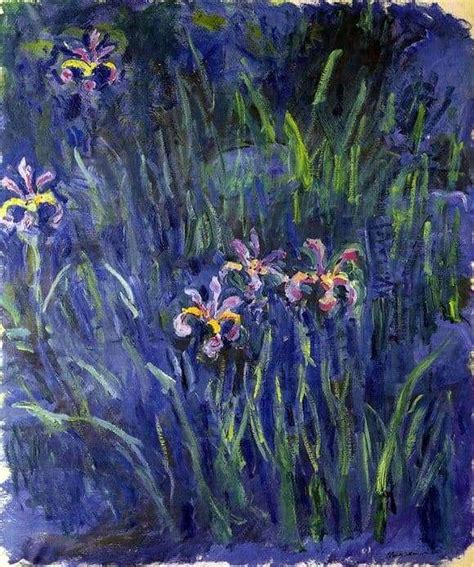 Irises In Claude Monet Garden At Giverny Fasci Garden