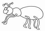 Ant Outline Coloring Ants Kids Clipart Printable Giant Clip Cliparts Pdf Just Library Gif Part Sheets sketch template