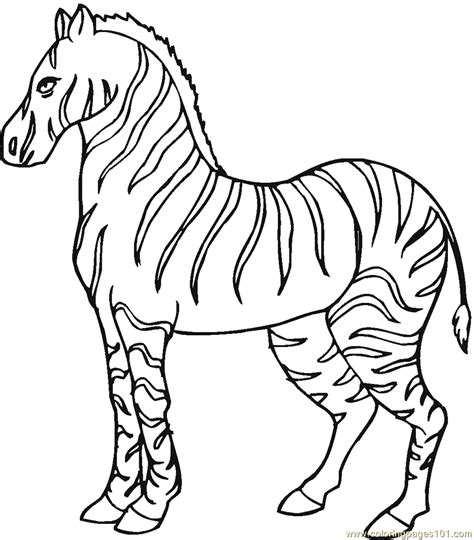 coloring pages zebra mammals zebra  printable coloring