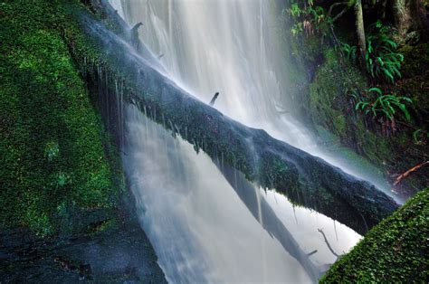 shutterbugs capturing  world   rainforest waterfall