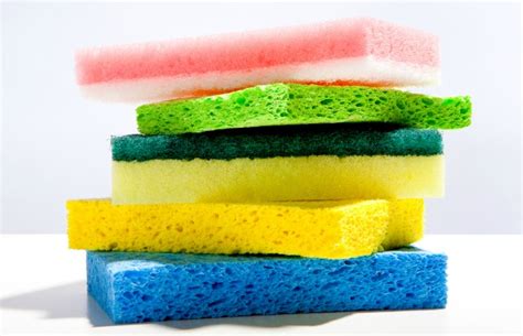 news  sponges surprising     kitchen sponges