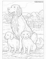 Golden Retrievers Ausmalbilder Hunde Hund Detailed Tierheim Süße Doverpublications Dover Kleuren Volwassenen sketch template