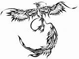Phoenix Tattoo Designs Outline Tribal Drawing Thebodyisacanvas Flying Meaning Wicked Ashes Getdrawings Clipartmag sketch template