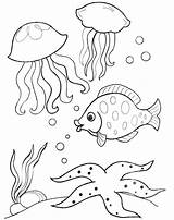 Mewarnai Undersea Hewan Fish Kumpulan Diwarnai Oceano sketch template
