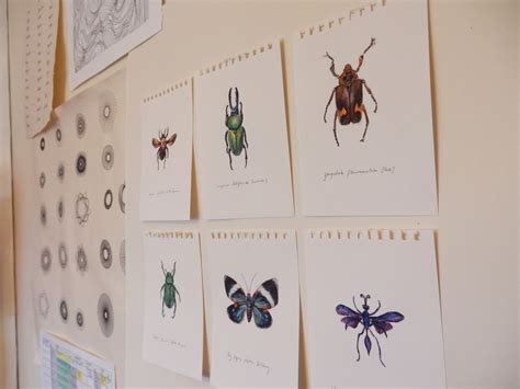 eleanor rose textiles  insect sketches