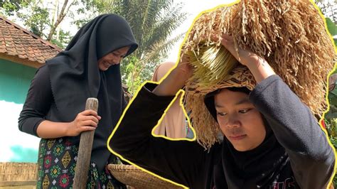 Gadis Desa Idaman Menjemur Padi Dan Nutu Pare Di Lisung Indonesian