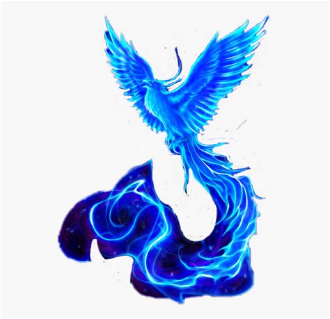 pheonix blue mythical phoenix bird  transparent clipart