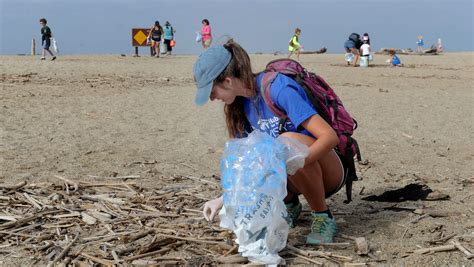 gallery volunteers tackle trash on coastal cleanup day