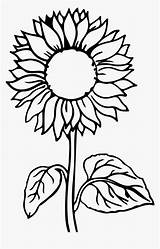 Coloring Pages Sunflower Kids sketch template