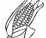 Corn Coloring Cob Getcolorings sketch template