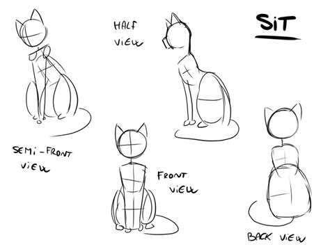 Tutorial How To Draw A Cat Sit Position By Niutellat
