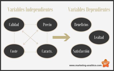 Tipos De Variables En El Análisis De Datos Marketing Analítico