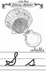 Shells Cursive Alphabet Coloring Janbrett Jan Click Subscription Downloads Brett sketch template