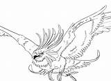 Phoenix Coloring Pages Adults Drawing Getcolorings Getdrawings sketch template