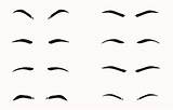 Eyebrows Shapes Eyebrow Noses sketch template