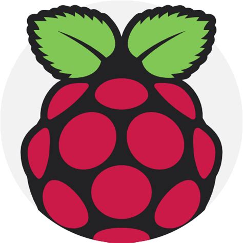 raspberry pi  brands  logotypes icons