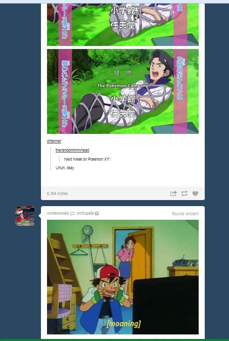 next time on pokemon x and y tumblr know your meme