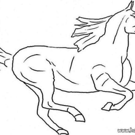 horse coloring pages  animals   world coloring books  kids