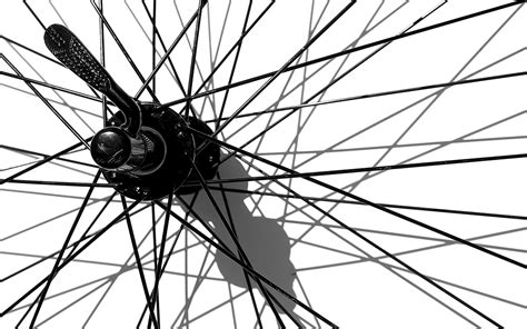 bicycle bicycle spokes