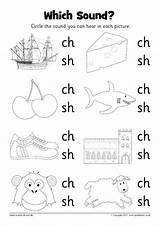 Sh Ch Worksheets Sound Kindergarten Sparklebox Blends Words Phonics Pdf Preschool Worksheet Which Th Printable Grade Digraph Activities Learning English sketch template