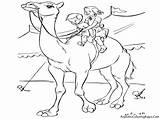 Unta Mewarnai Camel Diwarnai Sirkus Binatang Mewarnaigambar sketch template