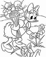 Coloring Daisy Disney Flowers Sheet Print Colouring Duck Topcoloringpages Book sketch template