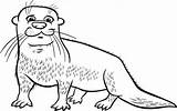 Nutria Otter Coloring Animados sketch template