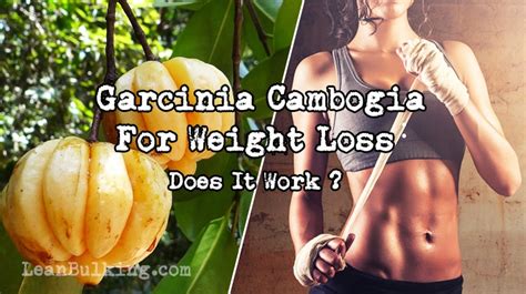 garcinia cambogia for weight loss does it work the truth revealed