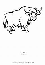 Ox Colouring Coloring Pages Farm Animal Printable Kids Oxen Activityvillage Animals 85kb Choose Board sketch template