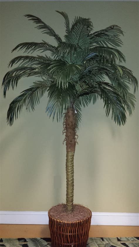 images  palm tree themed bedrooms  pinterest tropical bedrooms silk plants