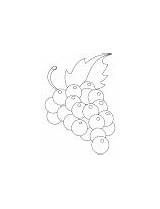 Coloring Grapes Pages Yummy Green sketch template