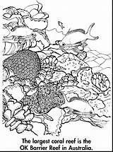 Reef Barrier Coloring Great Coral Pages Drawing Australia Ocean Printable Color Kids Drawings Sheets Getdrawings Choose Board sketch template