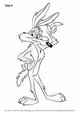 Coyote Wylie Wile Looney Tunes Drawingtutorials101 sketch template