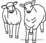 Sheep Clipart Outline Lamb Clip Clipartfox Wikiclipart Two Library sketch template