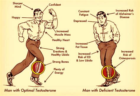 normal testosterone levels in a man