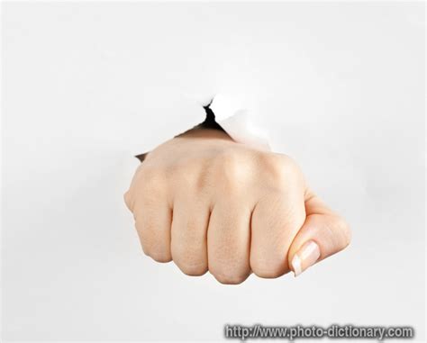 fist photopicture definition  photo dictionary fist word