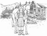 Interior Latest Work Pony Ranch Silver Illustrations Buttercup Sweet Ninety Selection Front Cover sketch template